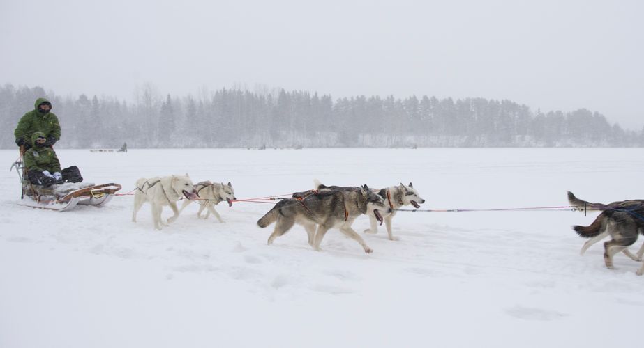 29 38 Lapland 11 29 38 Lapland 11